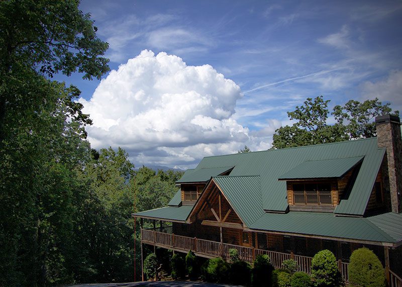 photo of black bear facility