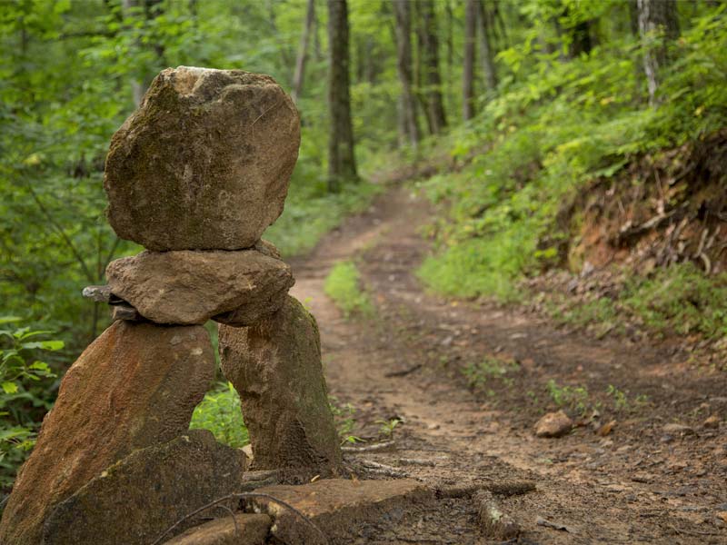 Black Bear Lodge - Walking Trails